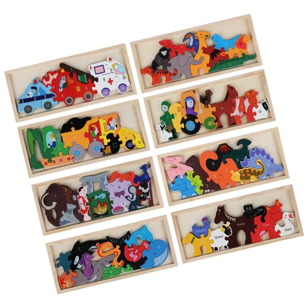 Educational Toys