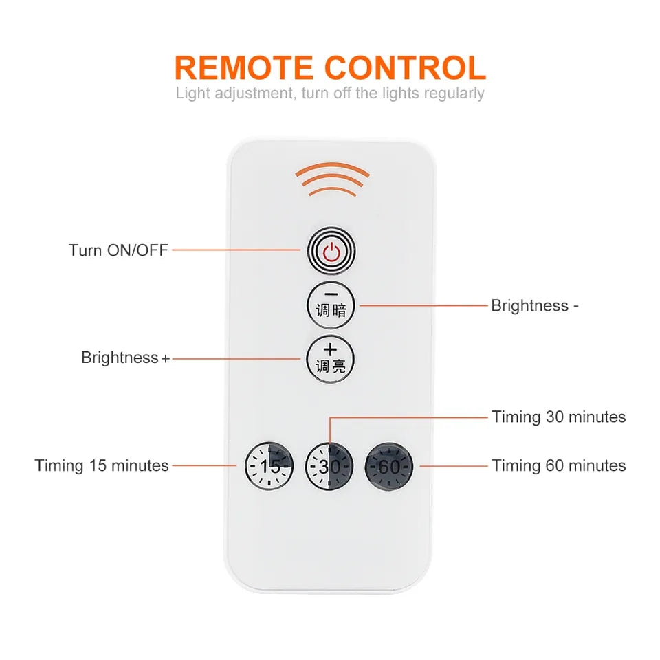 WS520.54 Duck Night Light remote cantrol