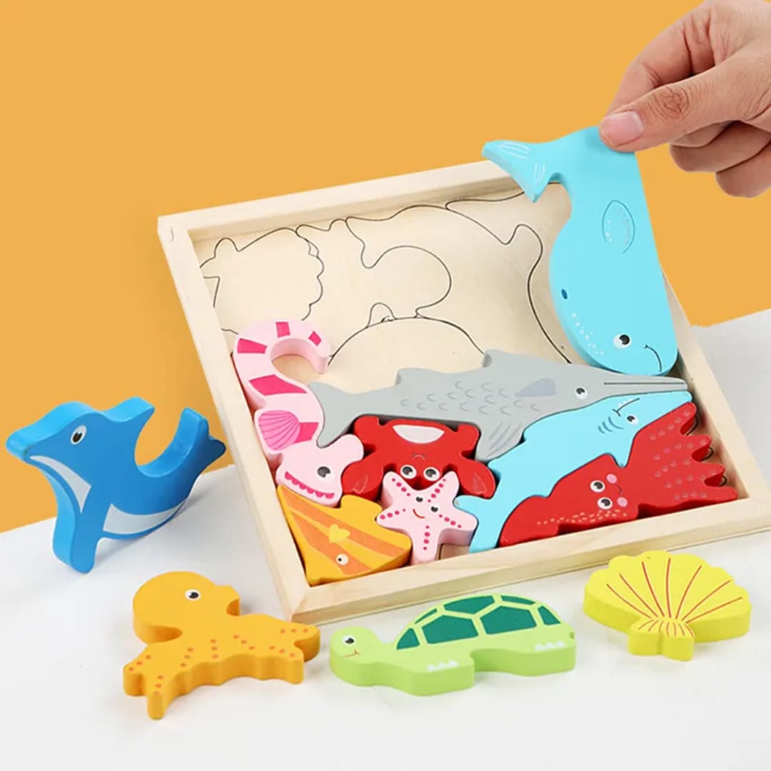 Educational Toys