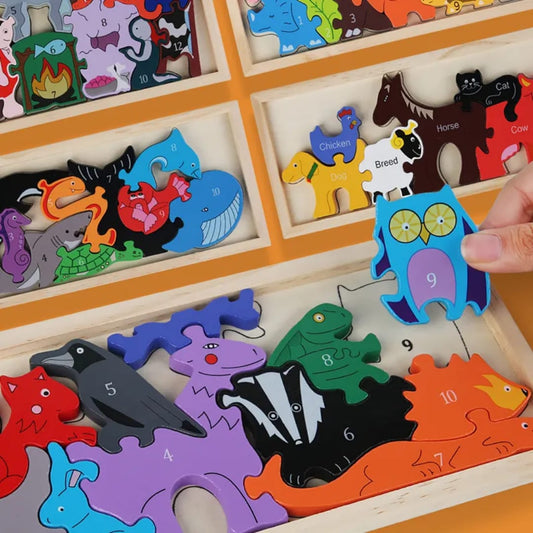 Educational Toys