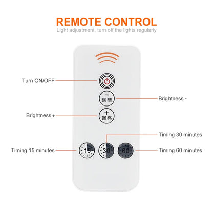 WS520.54  Duck Night Light remote cantrol
