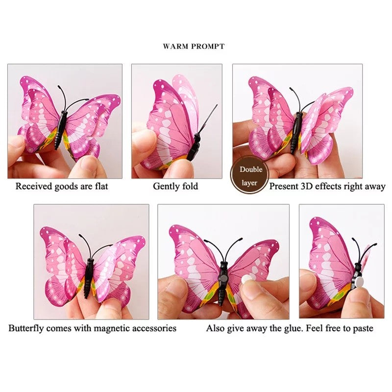 Double Layer butterfly